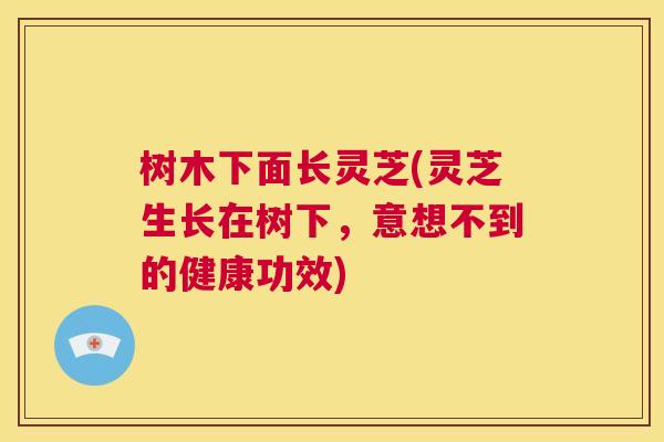 树木下面长灵芝(灵芝生长在树下,意想不到的健康功效) 第1张 树木下面长灵芝(灵芝生长在树下,意想不到的健康功效) 第1张