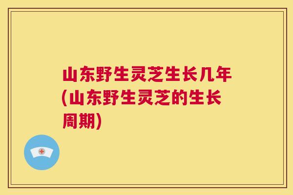 山东野生灵芝生长几年(山东野生灵芝的生长周期)  第1张
