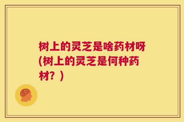 树上的灵芝是啥药材呀(树上的灵芝是何种药材?) 第1张 树上的灵芝是啥药材呀(树上的灵芝是何种药材?) 第1张