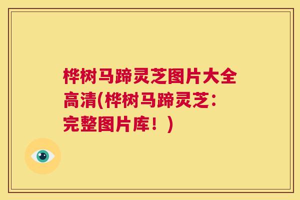 桦树马蹄灵芝图片大全高清(桦树马蹄灵芝:完整图片库!) 第1张 桦树马蹄灵芝图片大全高清(桦树马蹄灵芝:完整图片库!) 第1张