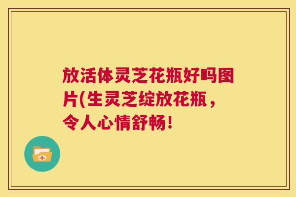 放活体灵芝花瓶好吗图片(生灵芝绽放花瓶,令人心情舒畅! 第1张 放活体灵芝花瓶好吗图片(生灵芝绽放花瓶,令人心情舒畅! 第1张