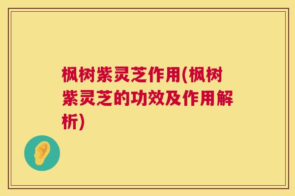 枫树紫灵芝作用(枫树紫灵芝的功效及作用解析) 第1张 枫树紫灵芝作用(枫树紫灵芝的功效及作用解析) 第1张