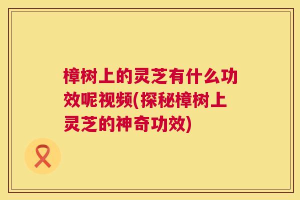 樟树上的灵芝有什么功效呢视频(探秘樟树上灵芝的神奇功效) 第1张 樟树上的灵芝有什么功效呢视频(探秘樟树上灵芝的神奇功效) 第1张