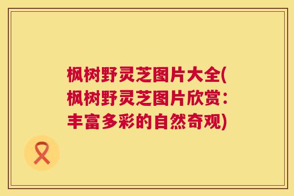 枫树野灵芝图片大全(枫树野灵芝图片欣赏:丰富多彩的自然奇观) 第1张 枫树野灵芝图片大全(枫树野灵芝图片欣赏:丰富多彩的自然奇观) 第1张