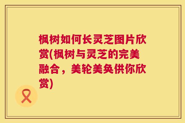 枫树如何长灵芝图片欣赏(枫树与灵芝的完美融合,美轮美奂供你欣赏) 第1张 枫树如何长灵芝图片欣赏(枫树与灵芝的完美融合,美轮美奂供你欣赏) 第1张