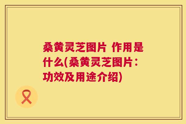 桑黄灵芝图片 作用是什么(桑黄灵芝图片:功效及用途介绍) 第1张 桑黄灵芝图片 作用是什么(桑黄灵芝图片:功效及用途介绍) 第1张