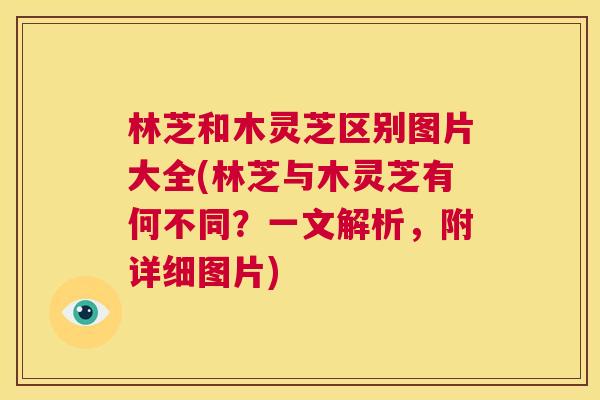 林芝和木灵芝区别图片大全(林芝与木灵芝有何不同?一文解析,附详细图片) 第1张 林芝和木灵芝区别图片大全(林芝与木灵芝有何不同?一文解析,附详细图片) 第1张