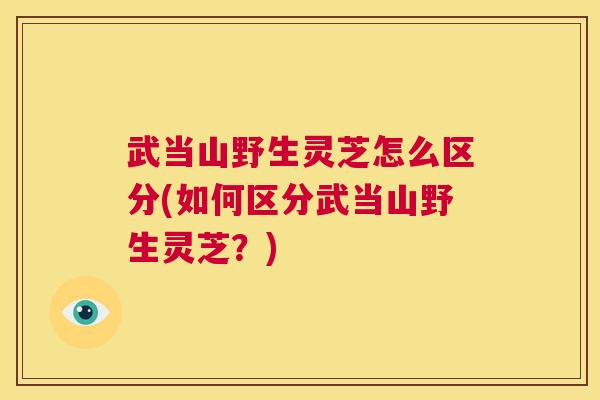 武当山野生灵芝怎么区分(如何区分武当山野生灵芝?) 第1张 武当山野生灵芝怎么区分(如何区分武当山野生灵芝?) 第1张