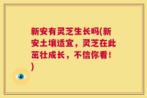 新安有灵芝生长吗(新安土壤适宜,灵芝在此茁壮成长,不信你看!) 第1张 新安有灵芝生长吗(新安土壤适宜,灵芝在此茁壮成长,不信你看!) 第1张