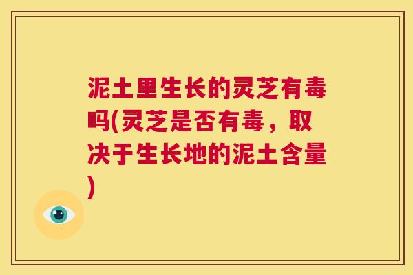 泥土里生长的灵芝有毒吗(灵芝是否有毒,取决于生长地的泥土含量) 第1张 泥土里生长的灵芝有毒吗(灵芝是否有毒,取决于生长地的泥土含量) 第1张