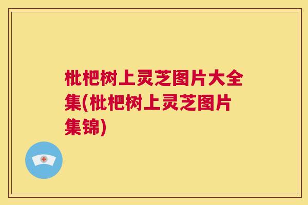枇杷树上灵芝图片大全集(枇杷树上灵芝图片集锦) 第1张 枇杷树上灵芝图片大全集(枇杷树上灵芝图片集锦) 第1张