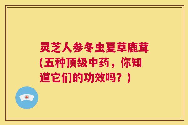 灵芝人参冬虫夏草鹿茸(五种顶级中药,你知道它们的功效吗?) 第1张 灵芝人参冬虫夏草鹿茸(五种顶级中药,你知道它们的功效吗?) 第1张