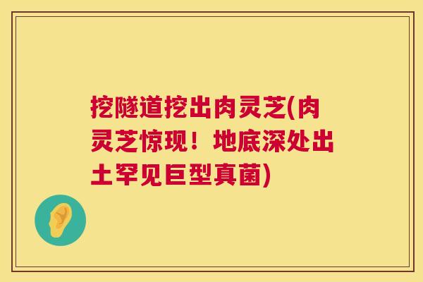 挖隧道挖出肉灵芝(肉灵芝惊现!地底深处出土罕见巨型真菌) 第1张 挖隧道挖出肉灵芝(肉灵芝惊现!地底深处出土罕见巨型真菌) 第1张