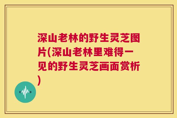 深山老林的野生灵芝图片(深山老林里难得一见的野生灵芝画面赏析) 第1张 深山老林的野生灵芝图片(深山老林里难得一见的野生灵芝画面赏析) 第1张