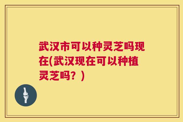 武汉市可以种灵芝吗现在(武汉现在可以种植灵芝吗?) 第1张 武汉市可以种灵芝吗现在(武汉现在可以种植灵芝吗?) 第1张