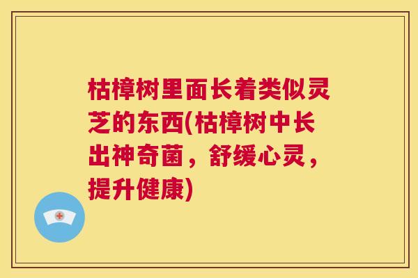 枯樟树里面长着类似灵芝的东西(枯樟树中长出神奇菌,舒缓心灵,提升健康) 第1张 枯樟树里面长着类似灵芝的东西(枯樟树中长出神奇菌,舒缓心灵,提升健康) 第1张