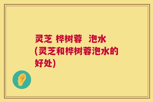 灵芝 桦树蓉 泡水(灵芝和桦树蓉泡水的好处) 第1张 灵芝 桦树蓉 泡水(灵芝和桦树蓉泡水的好处) 第1张