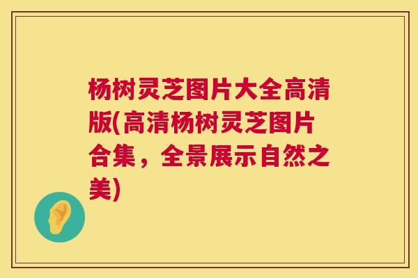 杨树灵芝图片大全高清版(高清杨树灵芝图片合集，全景展示自然之美)  第1张