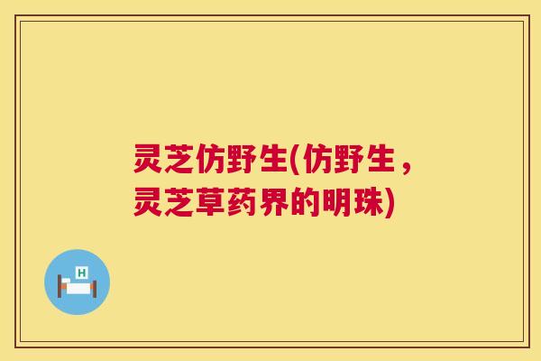 灵芝仿野生(仿野生,灵芝草药界的明珠) 第1张 灵芝仿野生(仿野生,灵芝草药界的明珠) 第1张