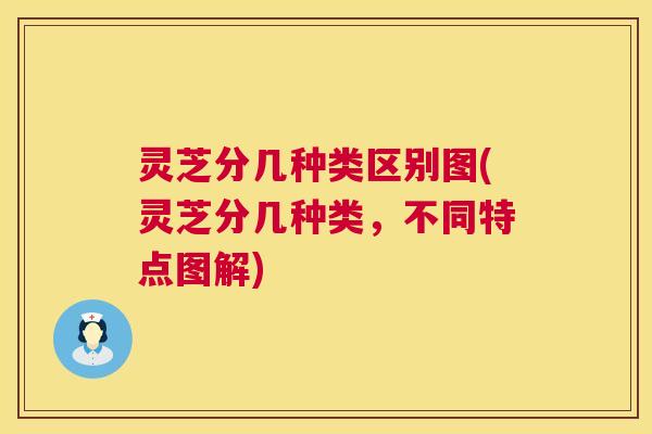 灵芝分几种类区别图(灵芝分几种类,不同特点图解) 第1张 灵芝分几种类区别图(灵芝分几种类,不同特点图解) 第1张