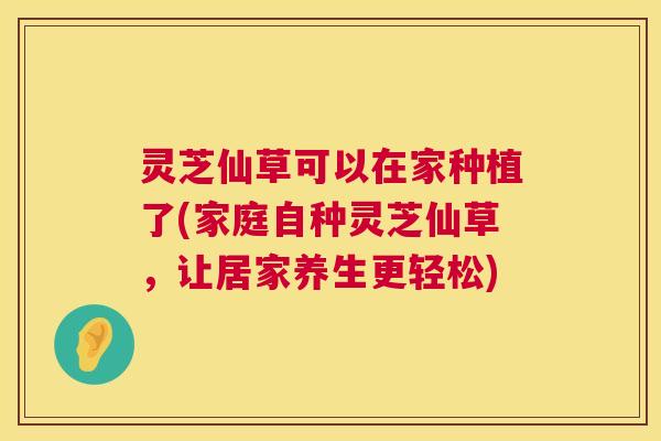 灵芝仙草可以在家种植了(家庭自种灵芝仙草，让居家养生更轻松)  第1张