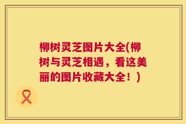 柳树灵芝图片大全(柳树与灵芝相遇,看这美丽的图片收藏大全!) 第1张 柳树灵芝图片大全(柳树与灵芝相遇,看这美丽的图片收藏大全!) 第1张