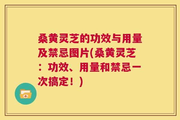 桑黄灵芝的功效与用量及禁忌图片(桑黄灵芝:功效、用量和禁忌一次搞定!) 第1张 桑黄灵芝的功效与用量及禁忌图片(桑黄灵芝:功效、用量和禁忌一次搞定!) 第1张