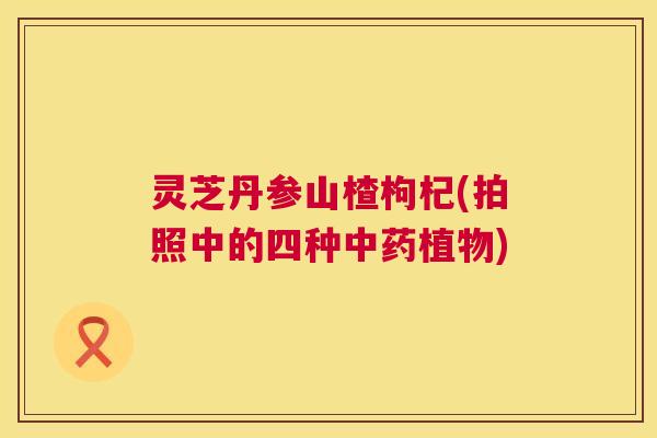 灵芝丹参山楂枸杞(拍照中的四种中药植物)  第1张