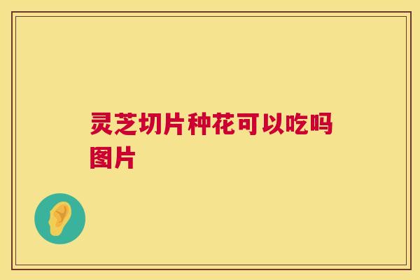 灵芝切片种花可以吃吗图片  第1张