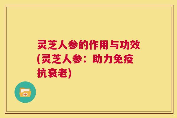 灵芝人参的作用与功效(灵芝人参：助力免疫抗衰老)  第1张