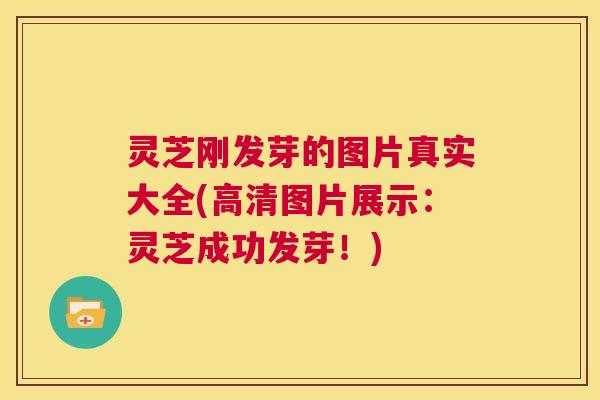 灵芝刚发芽的图片真实大全(高清图片展示:灵芝成功发芽!) 第1张 灵芝刚发芽的图片真实大全(高清图片展示:灵芝成功发芽!) 第1张