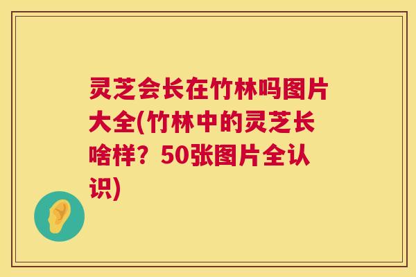 灵芝会长在竹林吗图片大全(竹林中的灵芝长啥样?50张图片全认识) 第1张 灵芝会长在竹林吗图片大全(竹林中的灵芝长啥样?50张图片全认识) 第1张