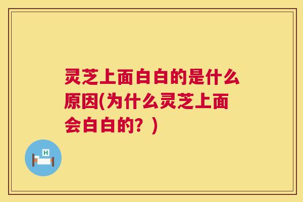 灵芝上面白白的是什么原因(为什么灵芝上面会白白的?) 第1张 灵芝上面白白的是什么原因(为什么灵芝上面会白白的?) 第1张
