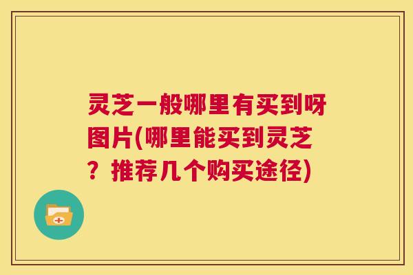 灵芝一般哪里有买到呀图片(哪里能买到灵芝?推荐几个购买途径) 第1张 灵芝一般哪里有买到呀图片(哪里能买到灵芝?推荐几个购买途径) 第1张