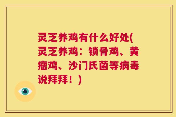 灵芝养鸡有什么好处(灵芝养鸡：锁骨鸡、黄瘤鸡、沙门氏菌等病毒说拜拜！)  第1张