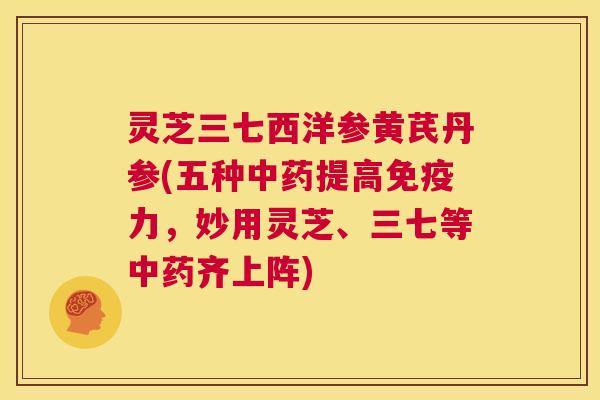 灵芝三七西洋参黄芪丹参(五种中药提高免疫力，妙用灵芝、三七等中药齐上阵)  第1张