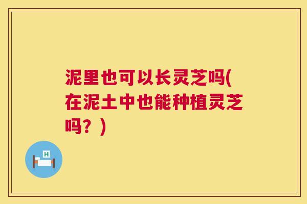 泥里也可以长灵芝吗(在泥土中也能种植灵芝吗?) 第1张 泥里也可以长灵芝吗(在泥土中也能种植灵芝吗?) 第1张