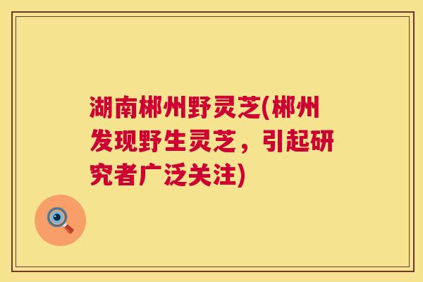 湖南郴州野灵芝(郴州发现野生灵芝,引起研究者广泛关注) 第1张 湖南郴州野灵芝(郴州发现野生灵芝,引起研究者广泛关注) 第1张