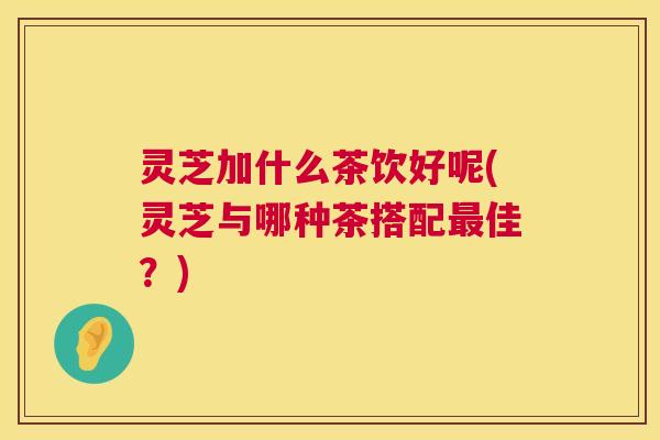灵芝加什么茶饮好呢(灵芝与哪种茶搭配最佳?) 第1张 灵芝加什么茶饮好呢(灵芝与哪种茶搭配最佳?) 第1张