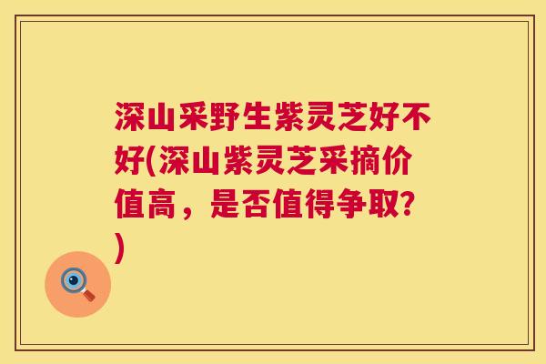 深山采野生紫灵芝好不好(深山紫灵芝采摘价值高,是否值得争取?) 第1张 深山采野生紫灵芝好不好(深山紫灵芝采摘价值高,是否值得争取?) 第1张