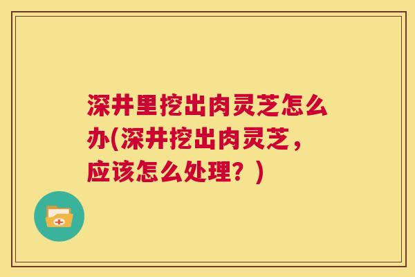 深井里挖出肉灵芝怎么办(深井挖出肉灵芝,应该怎么处理?) 第1张 深井里挖出肉灵芝怎么办(深井挖出肉灵芝,应该怎么处理?) 第1张