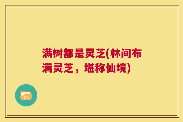 满树都是灵芝(林间布满灵芝,堪称仙境) 第1张 满树都是灵芝(林间布满灵芝,堪称仙境) 第1张