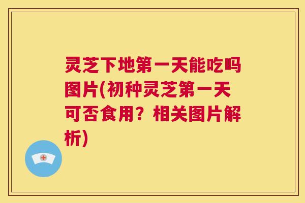 灵芝下地第一天能吃吗图片(初种灵芝第一天可否食用?相关图片解析) 第1张 灵芝下地第一天能吃吗图片(初种灵芝第一天可否食用?相关图片解析) 第1张