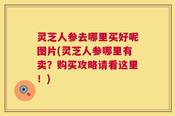 灵芝人参去哪里买好呢图片(灵芝人参哪里有卖?购买攻略请看这里!) 第1张 灵芝人参去哪里买好呢图片(灵芝人参哪里有卖?购买攻略请看这里!) 第1张