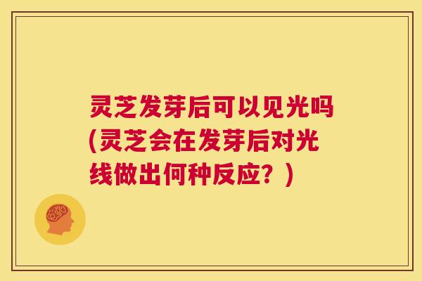 灵芝发芽后可以见光吗(灵芝会在发芽后对光线做出何种反应？)  第1张