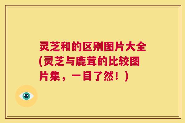 灵芝和的区别图片大全(灵芝与鹿茸的比较图片集,一目了然!) 第1张 灵芝和的区别图片大全(灵芝与鹿茸的比较图片集,一目了然!) 第1张