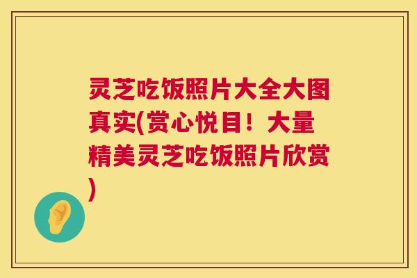灵芝吃饭照片大全大图真实(赏心悦目!大量精美灵芝吃饭照片欣赏) 第1张 灵芝吃饭照片大全大图真实(赏心悦目!大量精美灵芝吃饭照片欣赏) 第1张