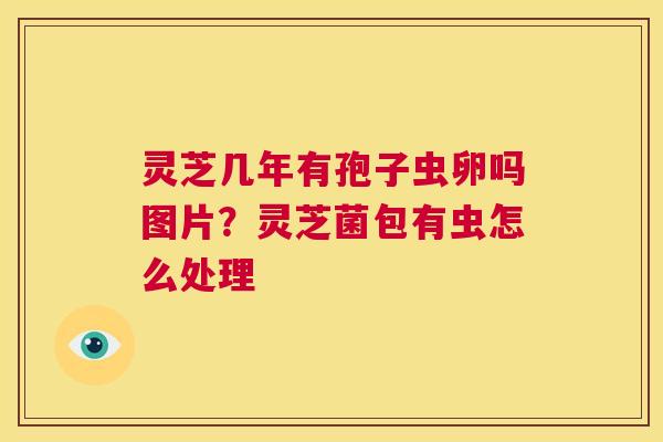 灵芝几年有孢子虫卵吗图片?灵芝菌包有虫怎么处理 第1张 灵芝几年有孢子虫卵吗图片?灵芝菌包有虫怎么处理 第1张