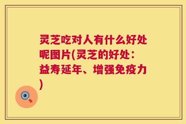 灵芝吃对人有什么好处呢图片(灵芝的好处:益寿延年、增强免疫力) 第1张 灵芝吃对人有什么好处呢图片(灵芝的好处:益寿延年、增强免疫力) 第1张