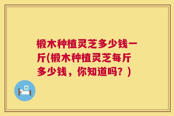 椴木种植灵芝多少钱一斤(椴木种植灵芝每斤多少钱,你知道吗?) 第1张 椴木种植灵芝多少钱一斤(椴木种植灵芝每斤多少钱,你知道吗?) 第1张